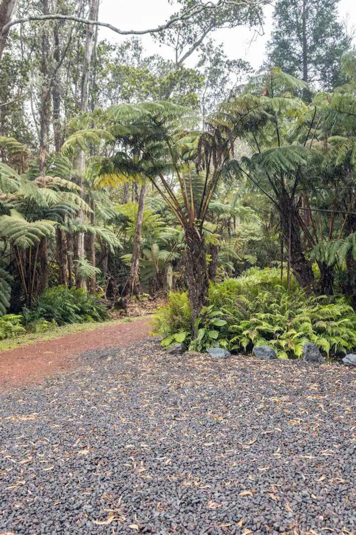 Hale Ho'Okipa Villa Volcano Buitenkant foto